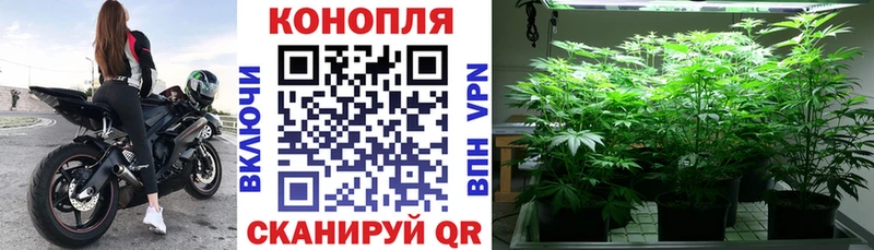 где можно купить наркотик  Исилькуль  Марихуана White Widow 